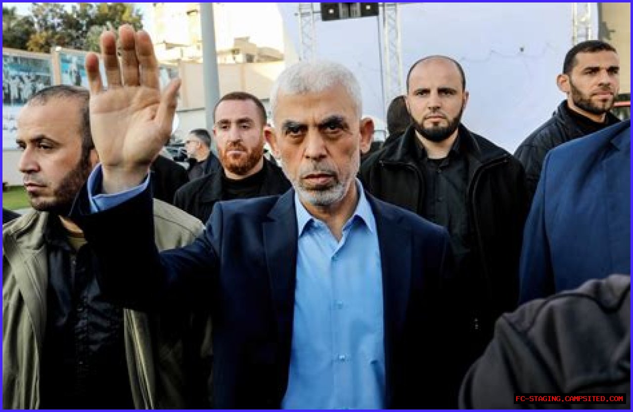 Get To Know Jenna Hachem: The Rising Star In The Industry